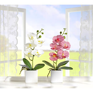 Magnet 3Pagen Orchidea v kvetináči biela