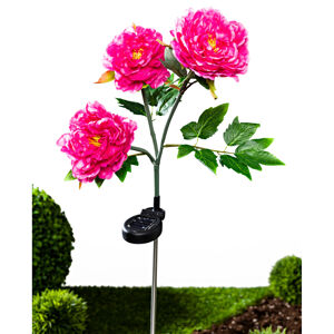 Magnet 3Pagen Solárna pivonka s 3 kvetmi ružová
