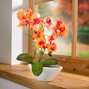 Magnet 3Pagen Orchidea "Phalaenopsis" oranžová