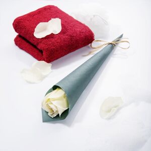 Magnet 3Pagen 4 mydlové ruže biela