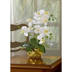 Magnet 3Pagen Orchidea v kvetináči biela