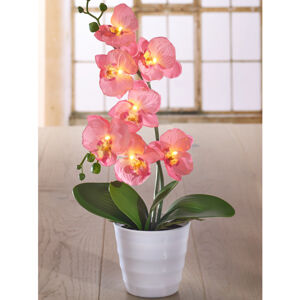 Magnet 3Pagen LED dekorácia "Svietiaca Orchidea"