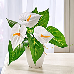 Magnet 3Pagen Antúria v kvetináči biela