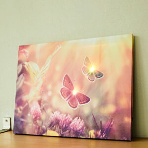 Magnet 3Pagen LED obraz "Motýle"